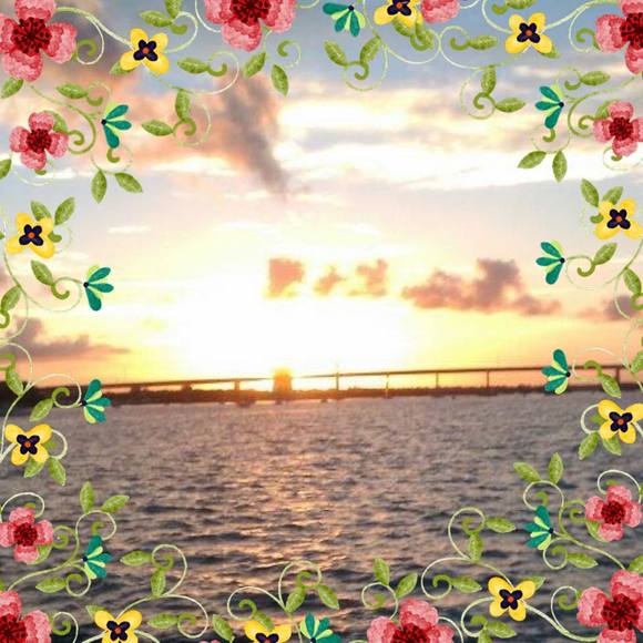 Meet your Posher, Rita - Picture 1 of 1